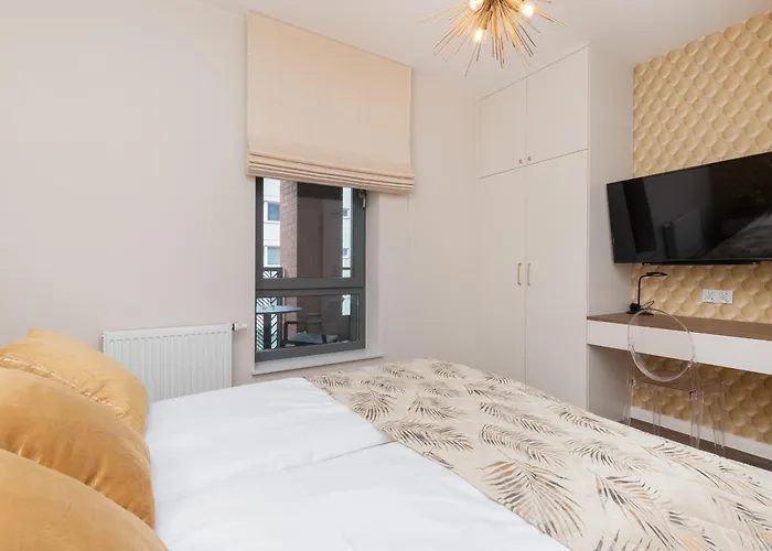 Apartment Elegant With Balcony And Air Conditioning In By Renters