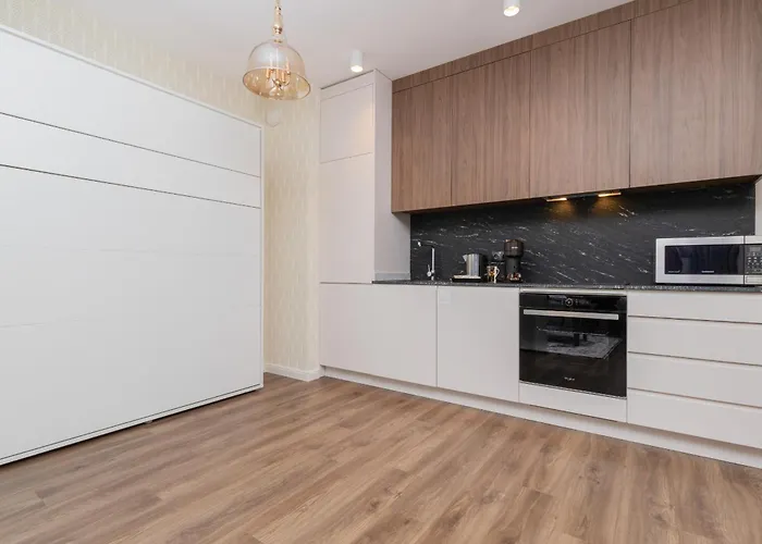 Elegant With Balcony And Air Conditioning In By Renters Apartment