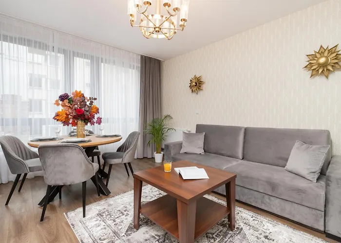 Apartment Elegant With Balcony And Air Conditioning In By Renters