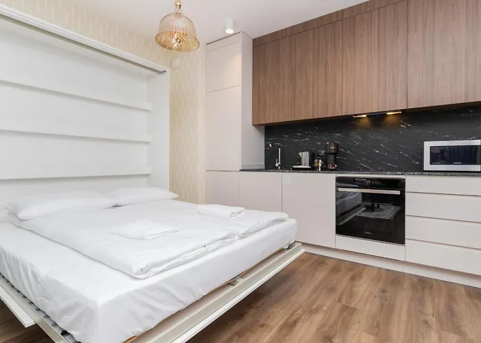 Elegant With Balcony And Air Conditioning In By Renters 公寓 *