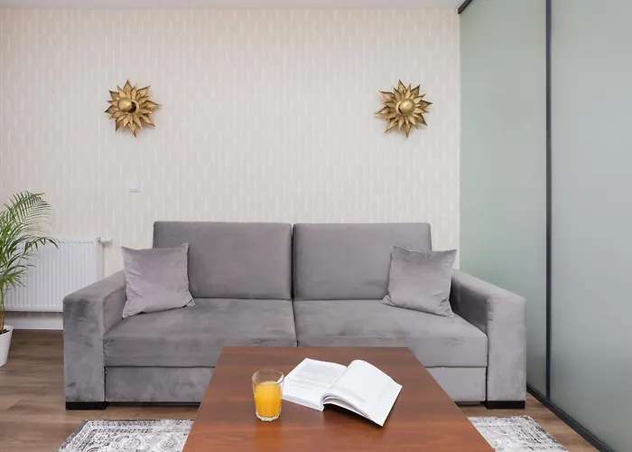 Elegant With Balcony And Air Conditioning In By Renters 公寓 格但斯克