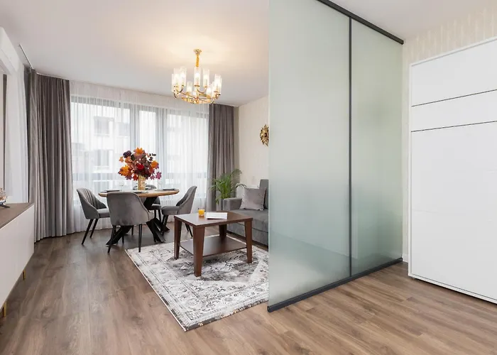 Elegant With Balcony And Air Conditioning In By Renters 公寓 *