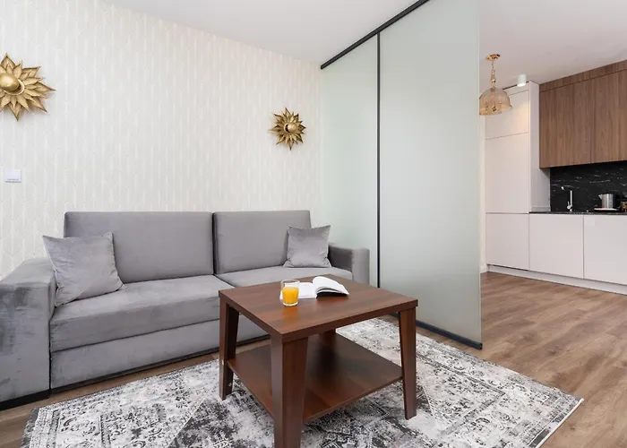 Elegant With Balcony And Air Conditioning In By Renters 格但斯克